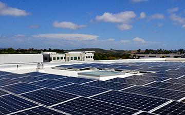 An array of solar panels